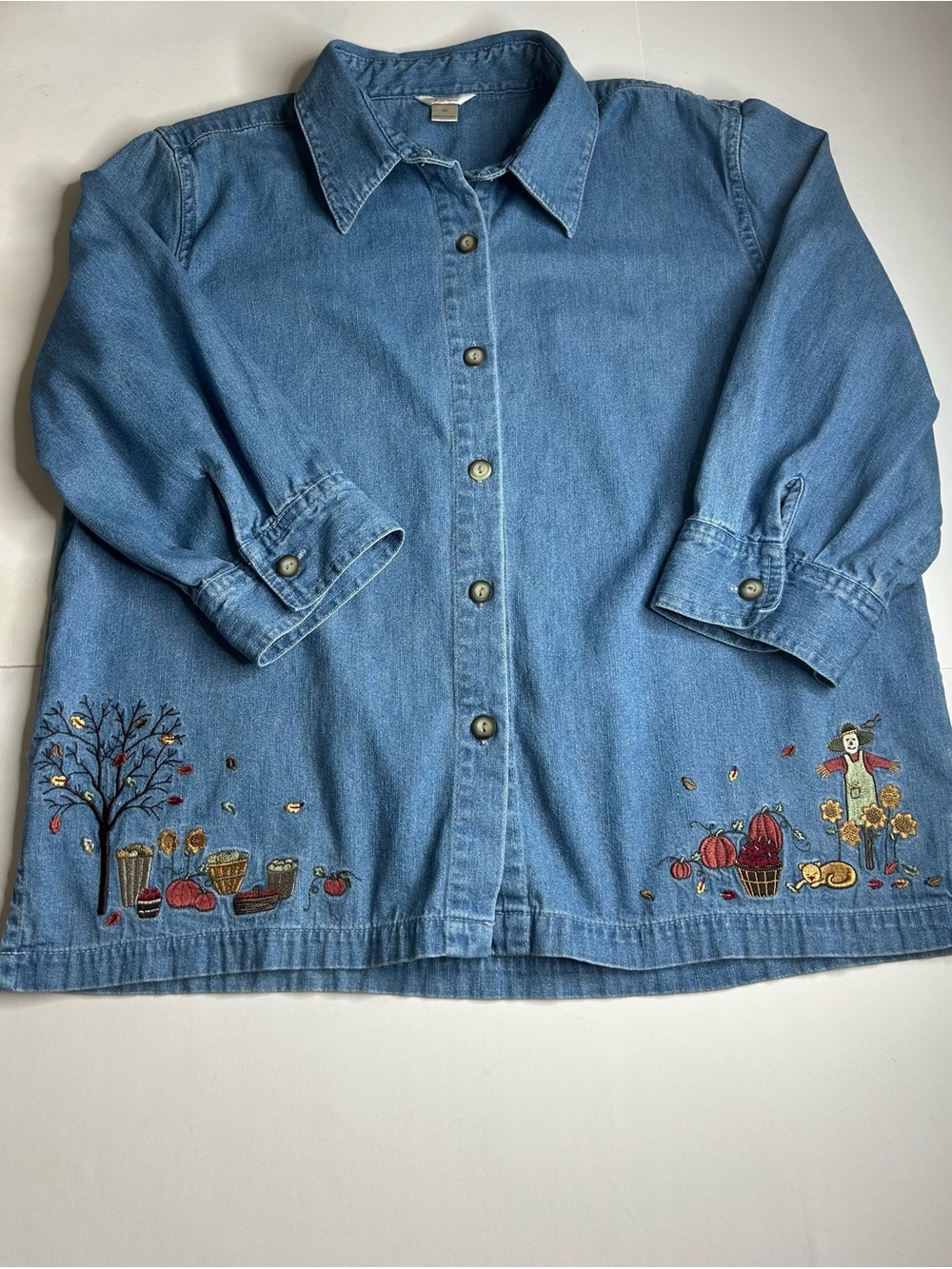 Christopher & Banks Vintage Denim Fall Embroidery Button-Down Teachercore 90s XL